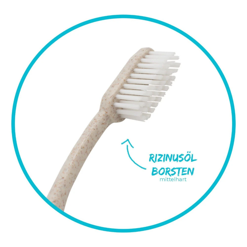 Chinchilla Zahnbürste 4 Chinchilla Zahnbürste – Bild 4