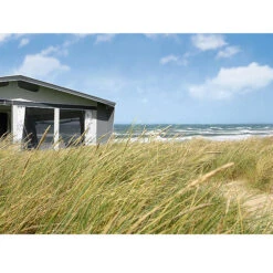 DWT Vorzelt Exquisit -Campingausrüstung M D195010 3